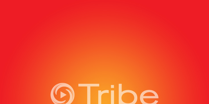 (c) Tribe, 2010
